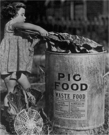 An Image of a Child Helping the Salvage Drive
